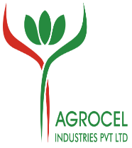 Safewin Internation services