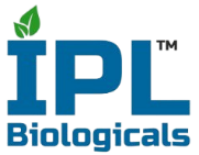 Safewin Internation services