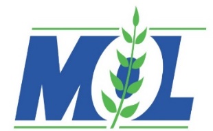 Safewin Internation services