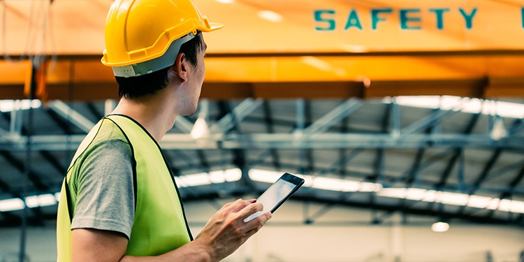 Safewin Internation services